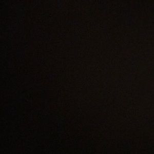 Meet your Posher, Lilly